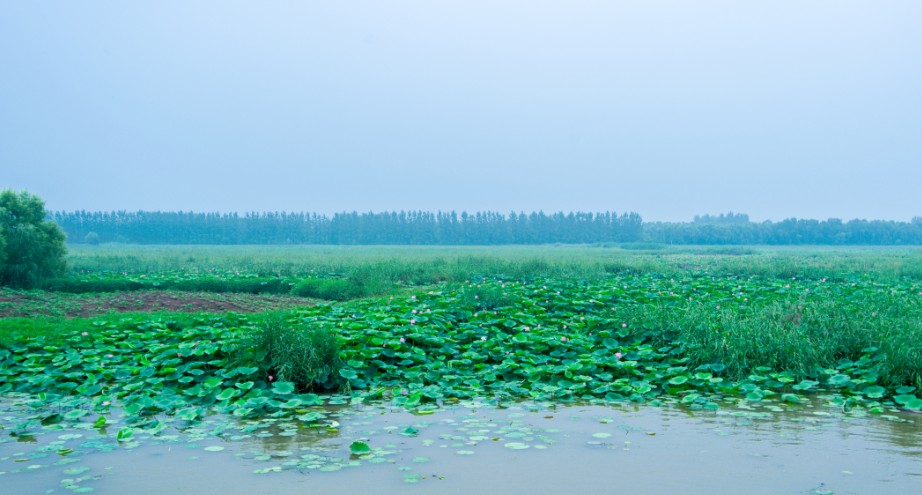 滕州风景微山湖