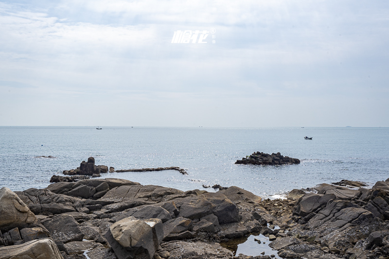 大连海昌极地海洋公园青岛(成都极地海洋世界)