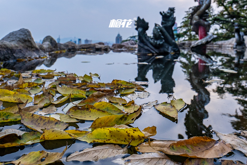 打卡青岛极地海洋公园(青岛海军博物馆)