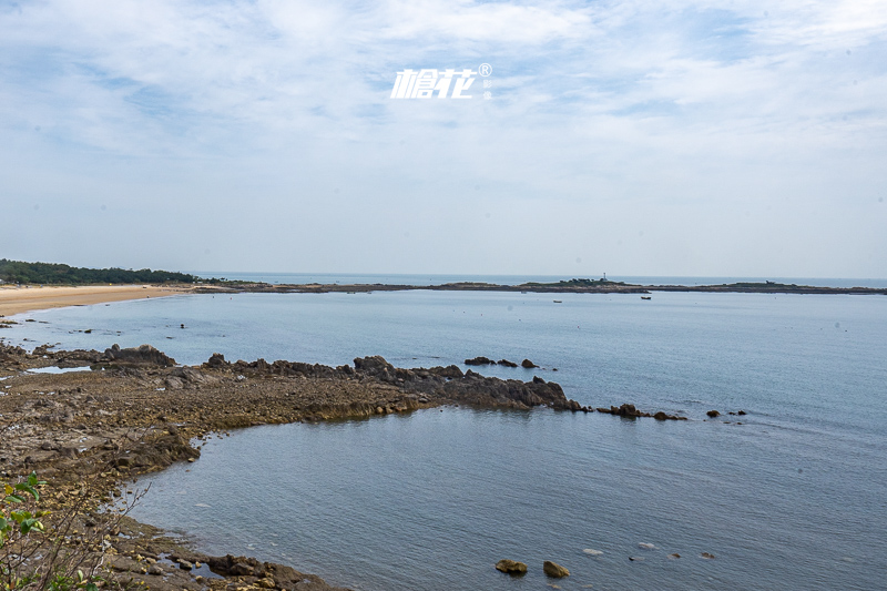 打卡青岛极地海洋公园作文(济南极地海洋世界门票)