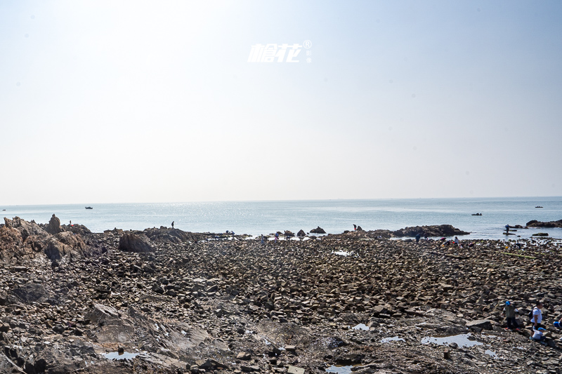 大白鲸海洋公园和青岛极地？青岛极地海洋游玩顺序