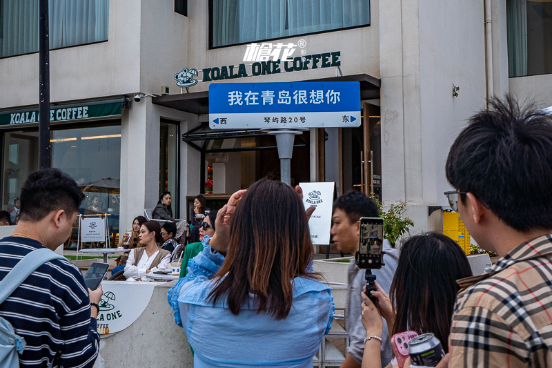 大连海昌极地海洋公园青岛(成都极地海洋世界)